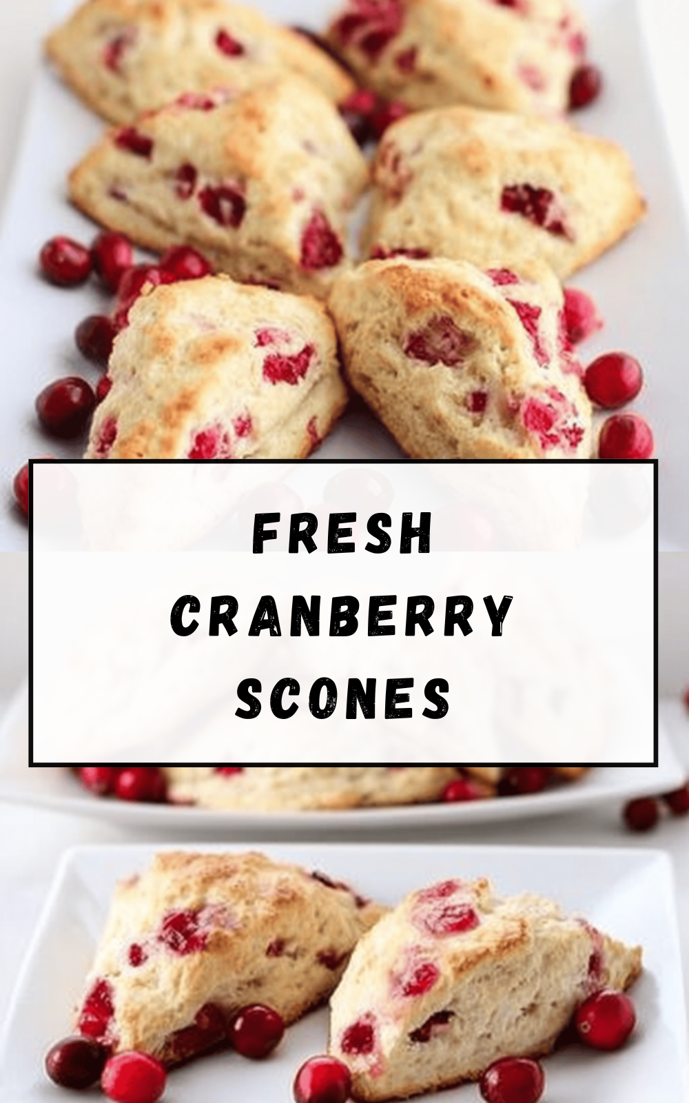Bakery Style Cranberry Scones Recipe With Flaky Texture And Fresh Cranberries 6 Fresh Cranberry Scones