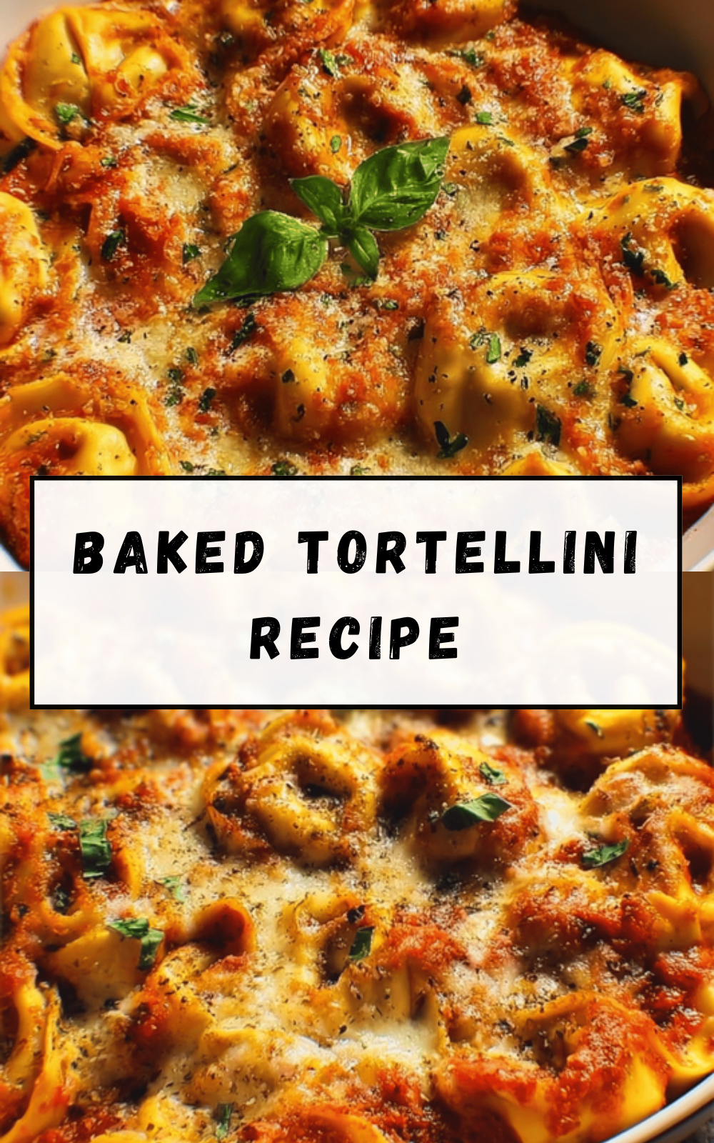 Tortellini Bake Recipe Ready In Twenty Minutes 6 Baked Tortellini Recipe