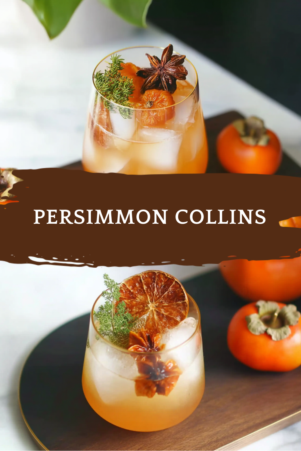 Persimmon Collins