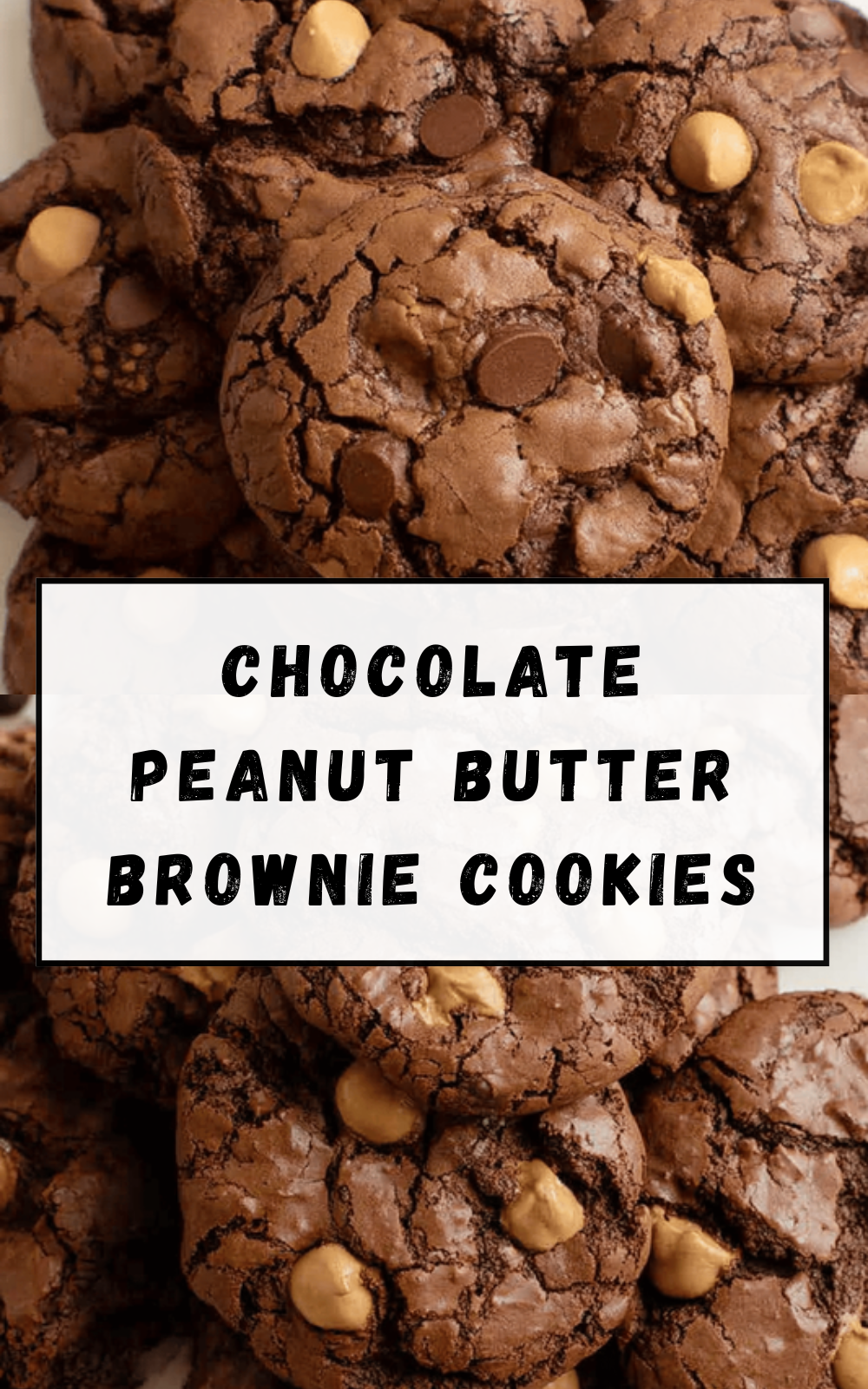 Chocolate Peanut Butter Brownie Cookies