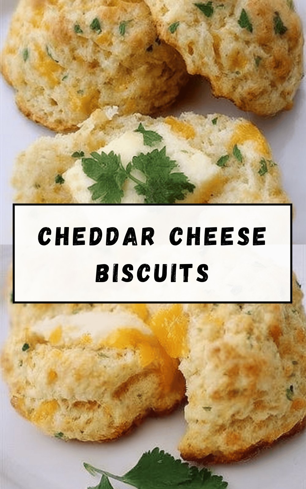 Cheddar Cheese Biscuits