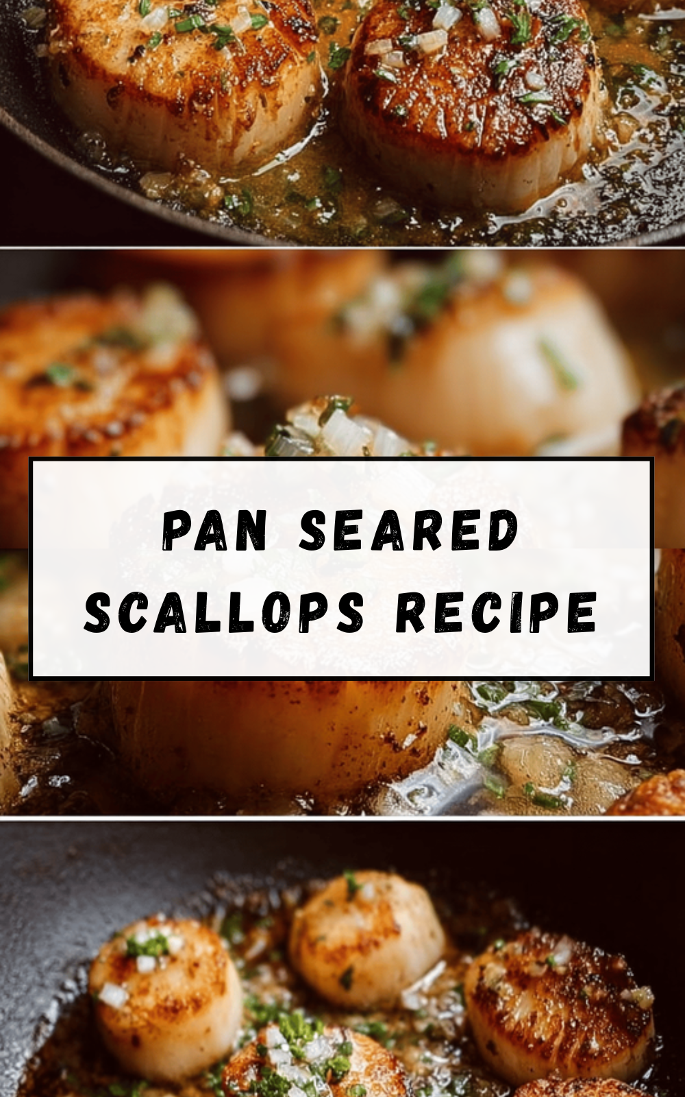 Pan Seared Scallops Recipe