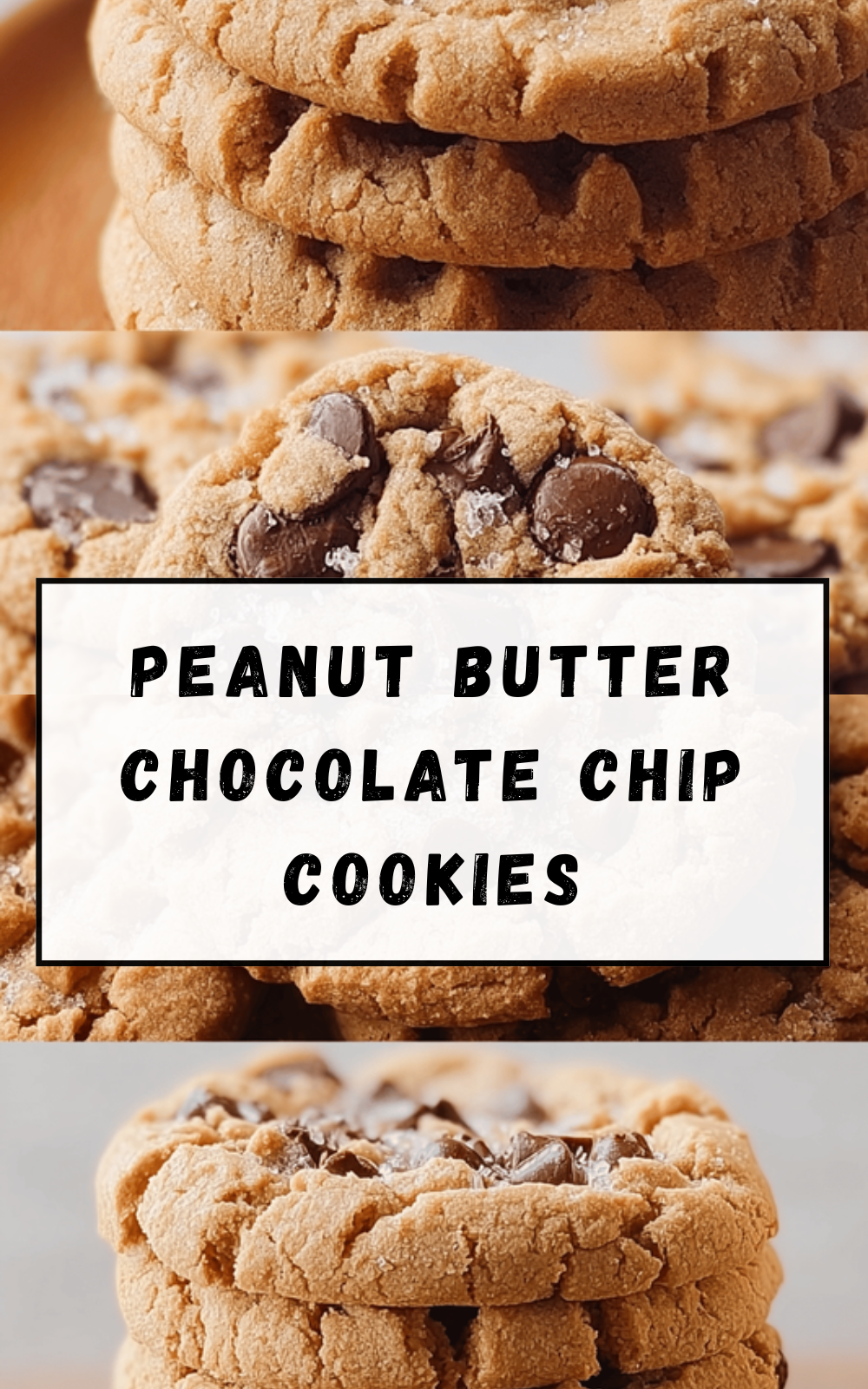 Peanut Butter Chocolate Chip Cookies