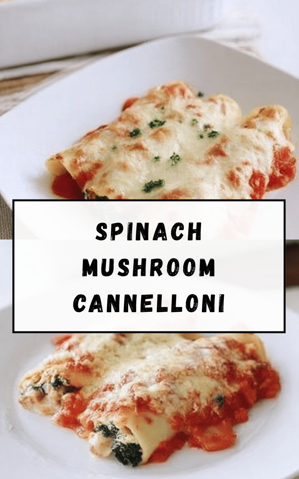Spinach Mushroom Cannelloni