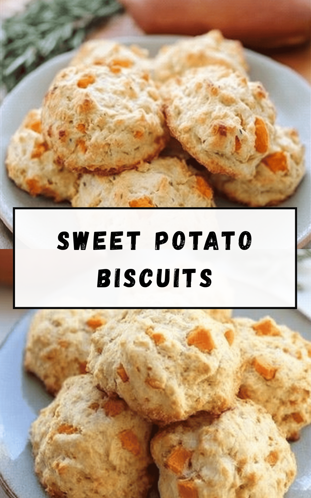 Sweet Potato Biscuits