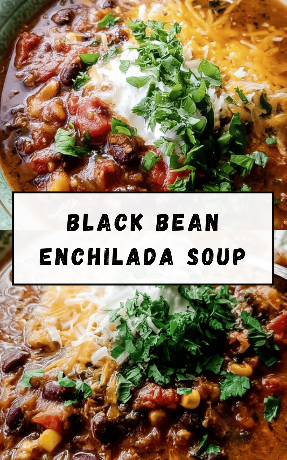 Black Bean Enchilada Soup