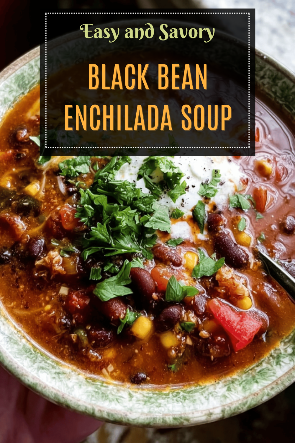 Black Bean Enchilada Soup