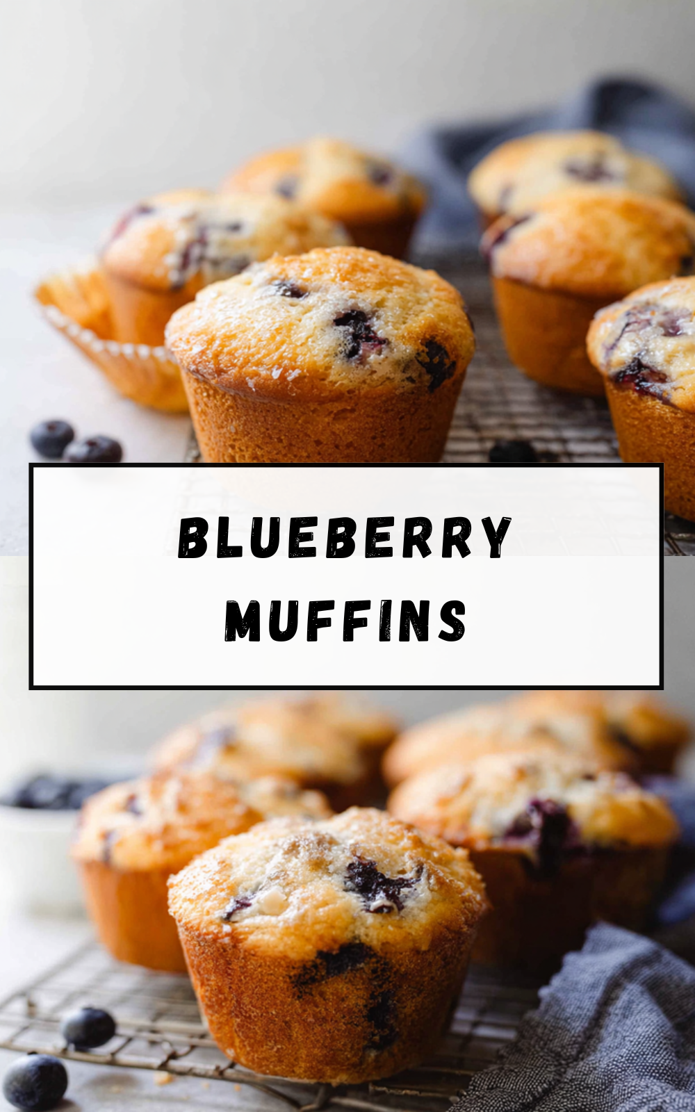 Blueberry Muffins