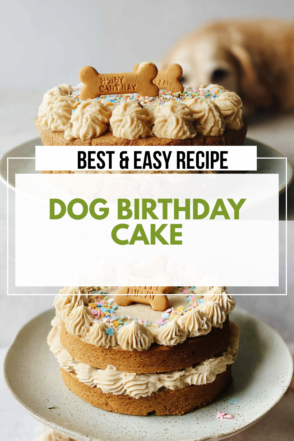 Dog Birthday Cake
