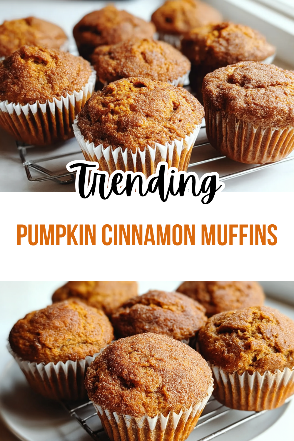 Pumpkin Cinnamon Muffins