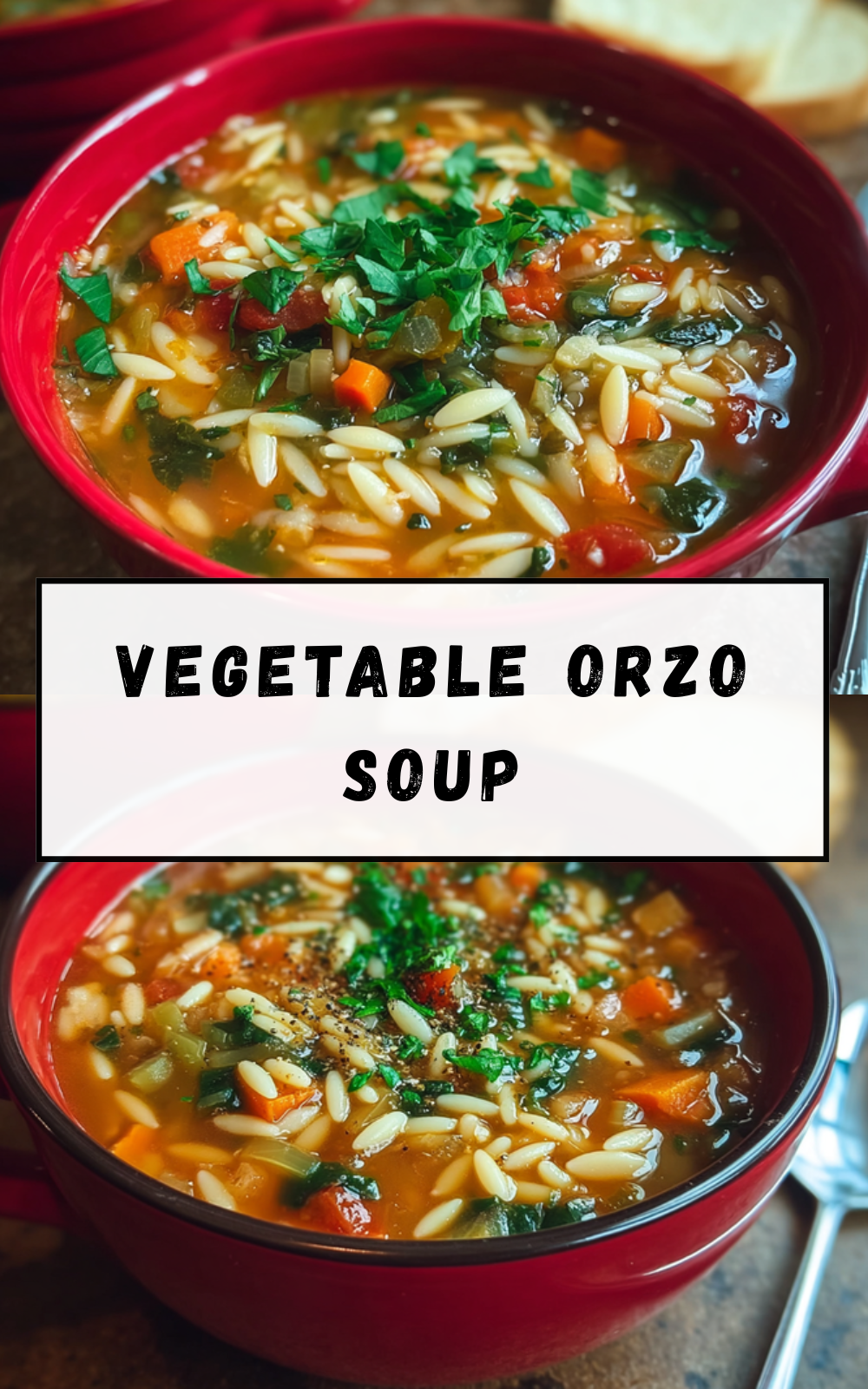 Vegetable Orzo Soup