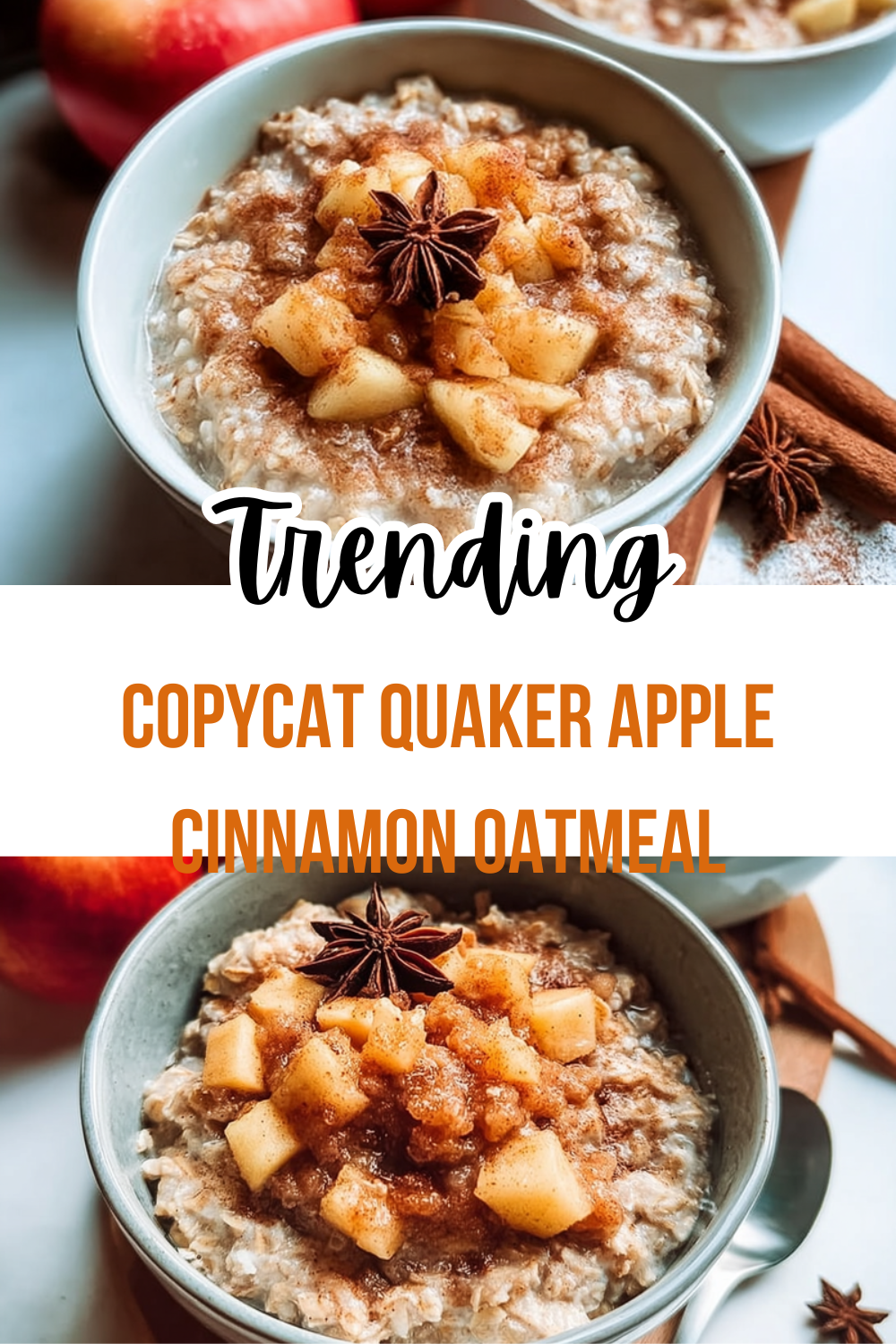 Copycat Quaker Apple Cinnamon Oatmeal
